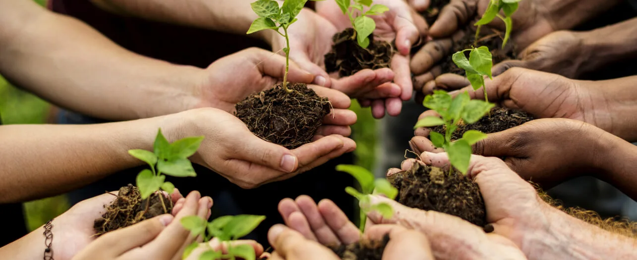 Turning Agricultural Waste into Soil Food – Our Closed-Loop Model