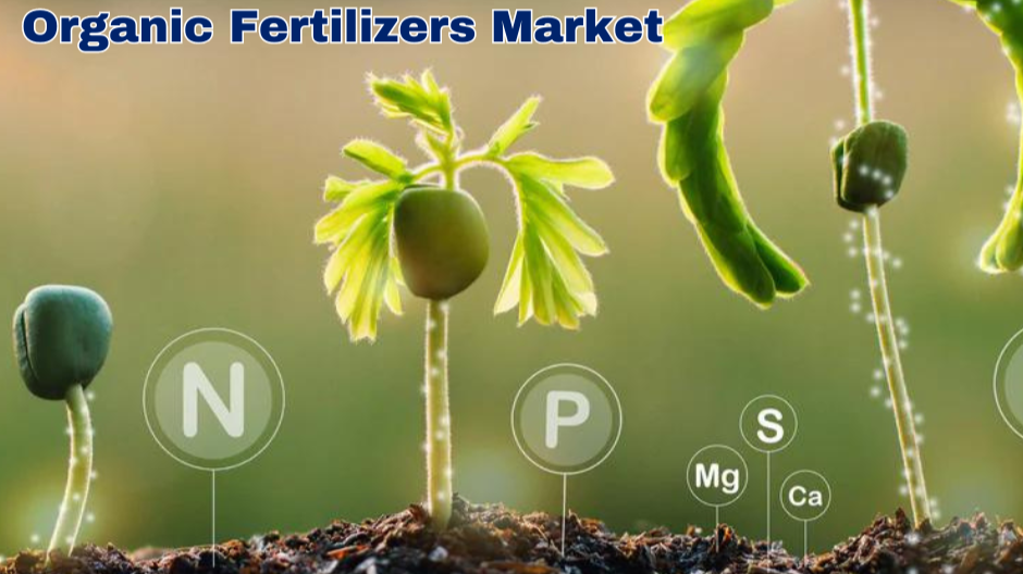 What Makes Agricare the UAE’s Largest Organic Fertilizer Supplier?